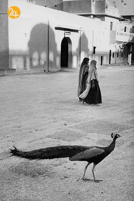 حوادث پنج قاره جهان به روایت عکاس فرانسوی