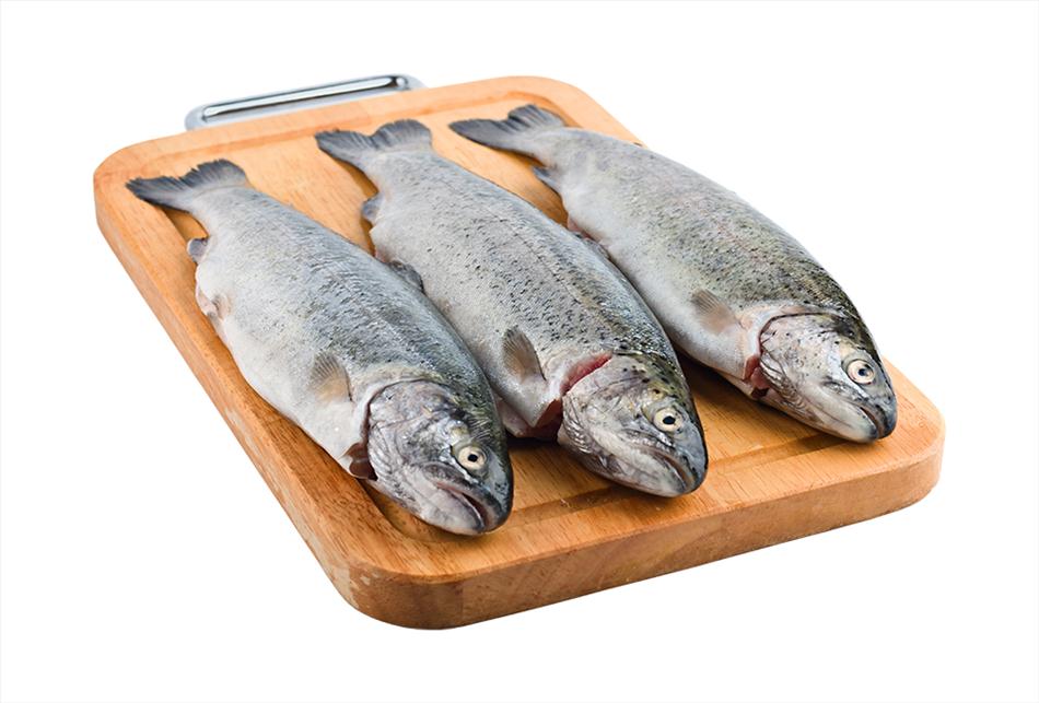 قیمت ماهی قیمت ماهی