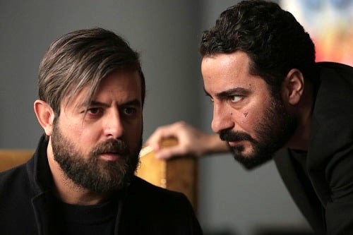 سریال قورباغه