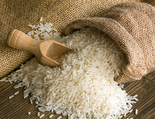 قیمت روز برنج