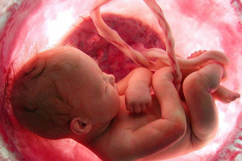 کشور در وضعیت خاص جمعیتی/ کاهش ۲۰ درصدی شاخص باروری در تمام استان‌ها