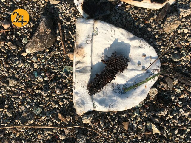 روایتی از نخستین صحنه های سقوط هواپیمای اوکراینی