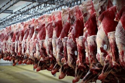 نرخ گوشت در بازار 