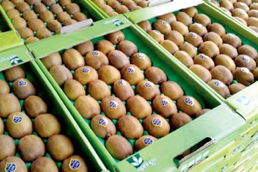 صادرات کیوی