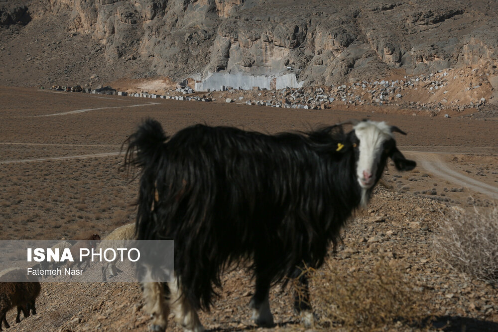 تهدید «چهارکوهِ» علویجه با ظهور معادن سنگ تهدید «چهارکوهِ» علویجه با ظهور معادن سنگ