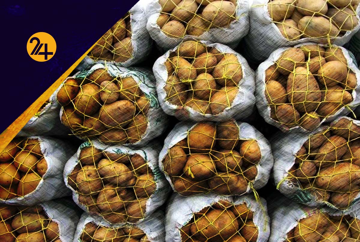 قیمت سیب زمینی قیمت سیب زمینی