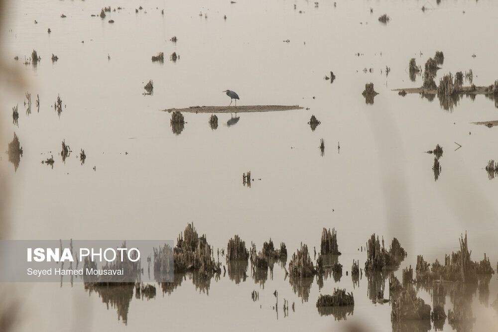 وضعیت این‌روزهای هورالعظیم