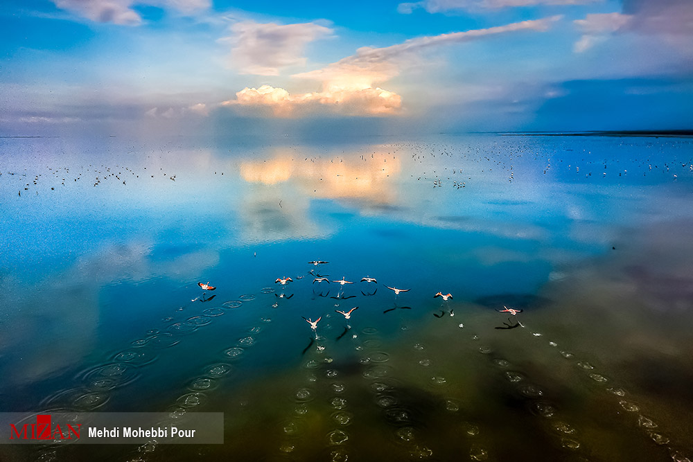 تصویری زیبا از تالاب میانکاله