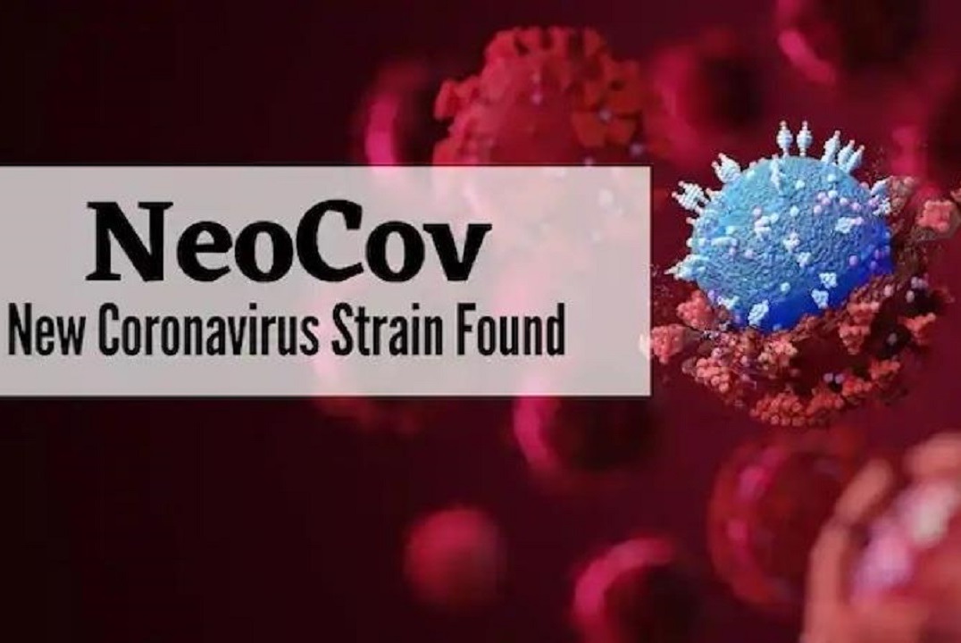 شمار مبتلایان به ویروس کرونا