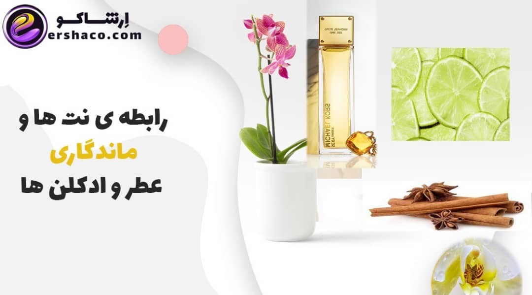 نام ادکلنهای زنانه و مردانه با ماندگاری طولانی و بالا در ارشاکو نام ادکلنهای زنانه و مردانه با ماندگاری طولانی و بالا در ارشاکو