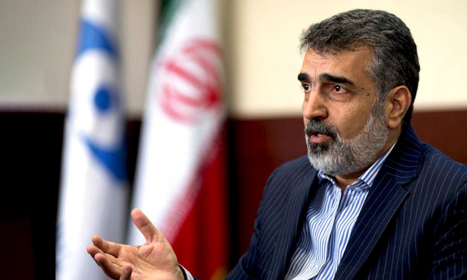 توضیح سخنگوی سازمان انرژی اتمی در مورد سفر گروسی به تهران