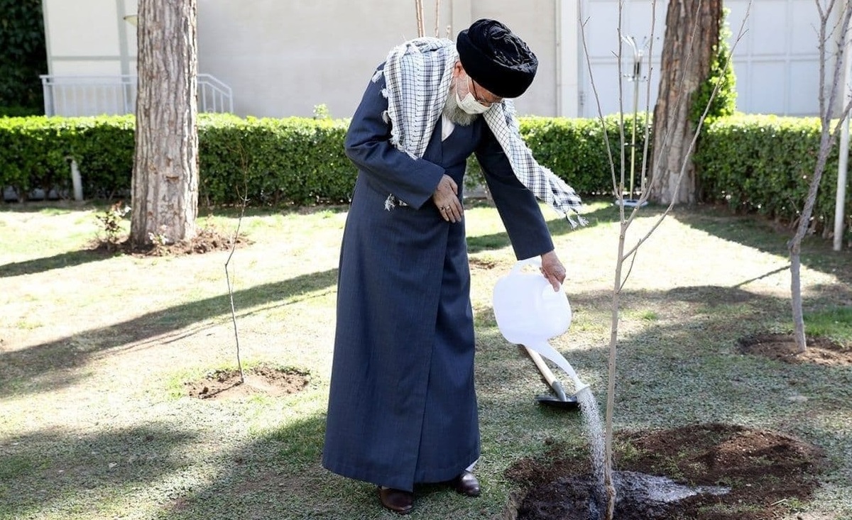 رهبر انقلاب: تخریب جنگل، تخریب منافع ملی است