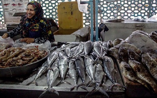 افزایش قیمت ماهی