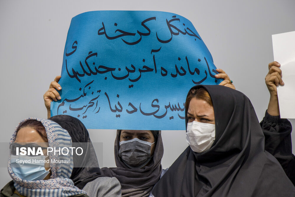 پارک ملی کرخه؛ زیستگاه گوزن زرد پارک ملی کرخه؛ زیستگاه گوزن زرد