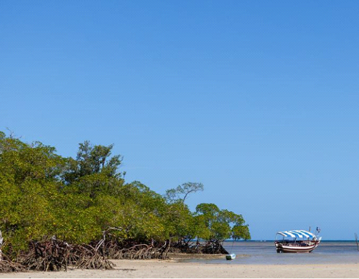 معرفی ۱۰ ساحل جذاب برزیل