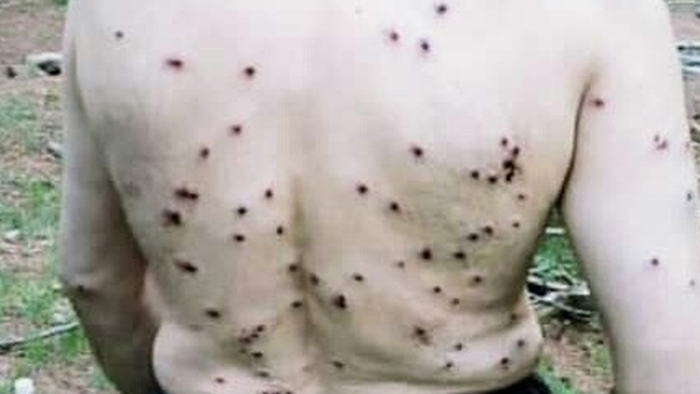 آزادسازی اراضی ملی به چه قیمتی؟ / نکاتی درباره برخورد با روستائیان کهمان توسط نیروی انتظامی