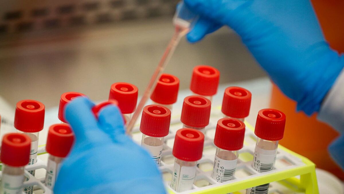 جعل در تست کرونای یک تیم لیگ برتری جعل در تست کرونای یک تیم لیگ برتری