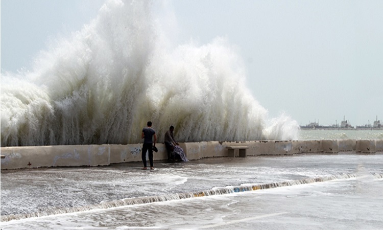 سونامی در سواحل مکران!/ آیا مرگ گربه‌ماهی‌ها از وقوع سونامی خبر می‌دهد؟