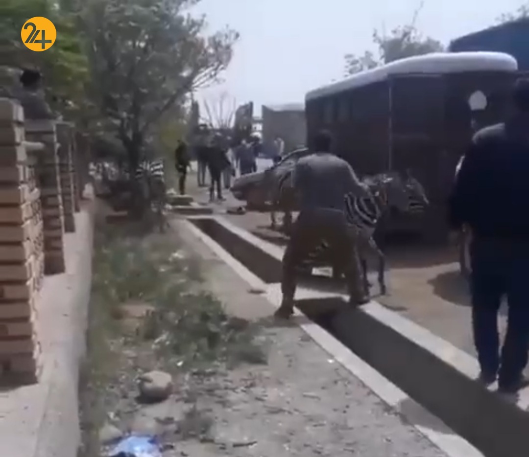 اعلام نتایج اولیه بررسی علت مرگ گورخر آفریقایی اعلام نتایج اولیه بررسی علت مرگ گورخر آفریقایی