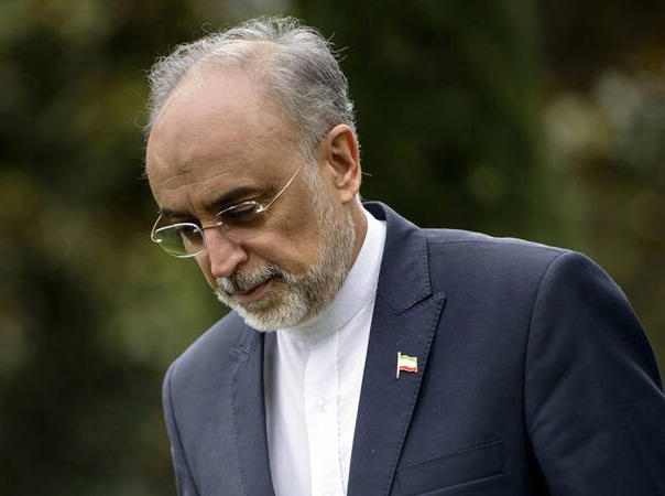 حضور علی اکبر صالحی در انتخابات 1400