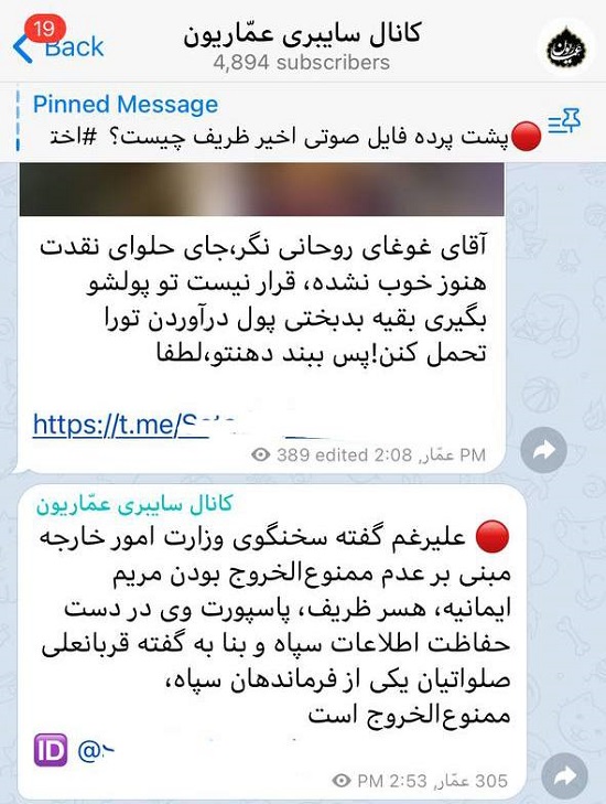 همسر ظریف همسر ظریف