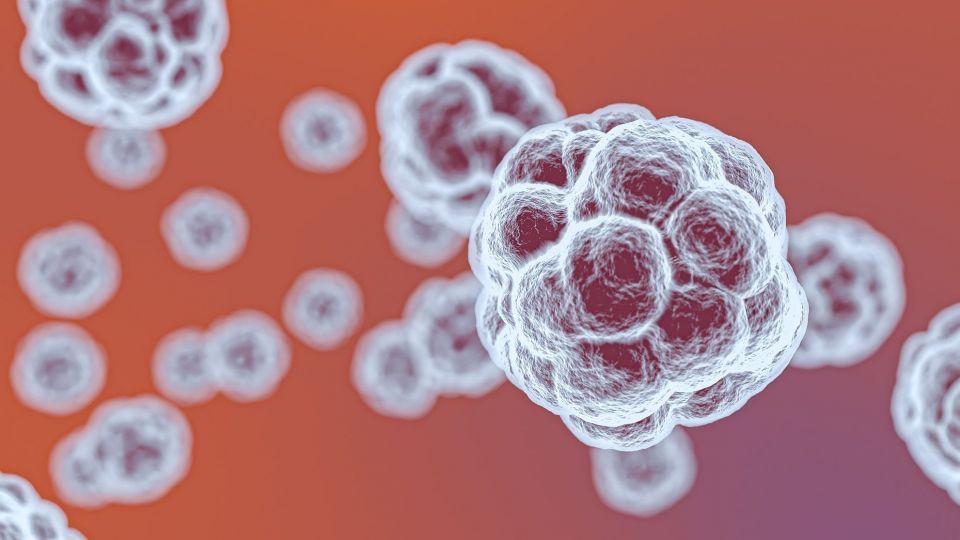 علائم جدید ابتلا ویروس کرونا