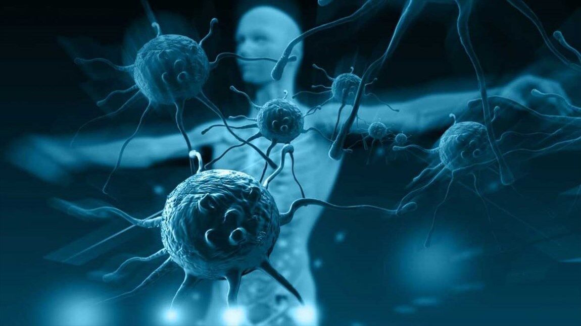 عواملی که سیستم ایمنی بدن را نابود میکند عواملی که سیستم ایمنی بدن را نابود میکند