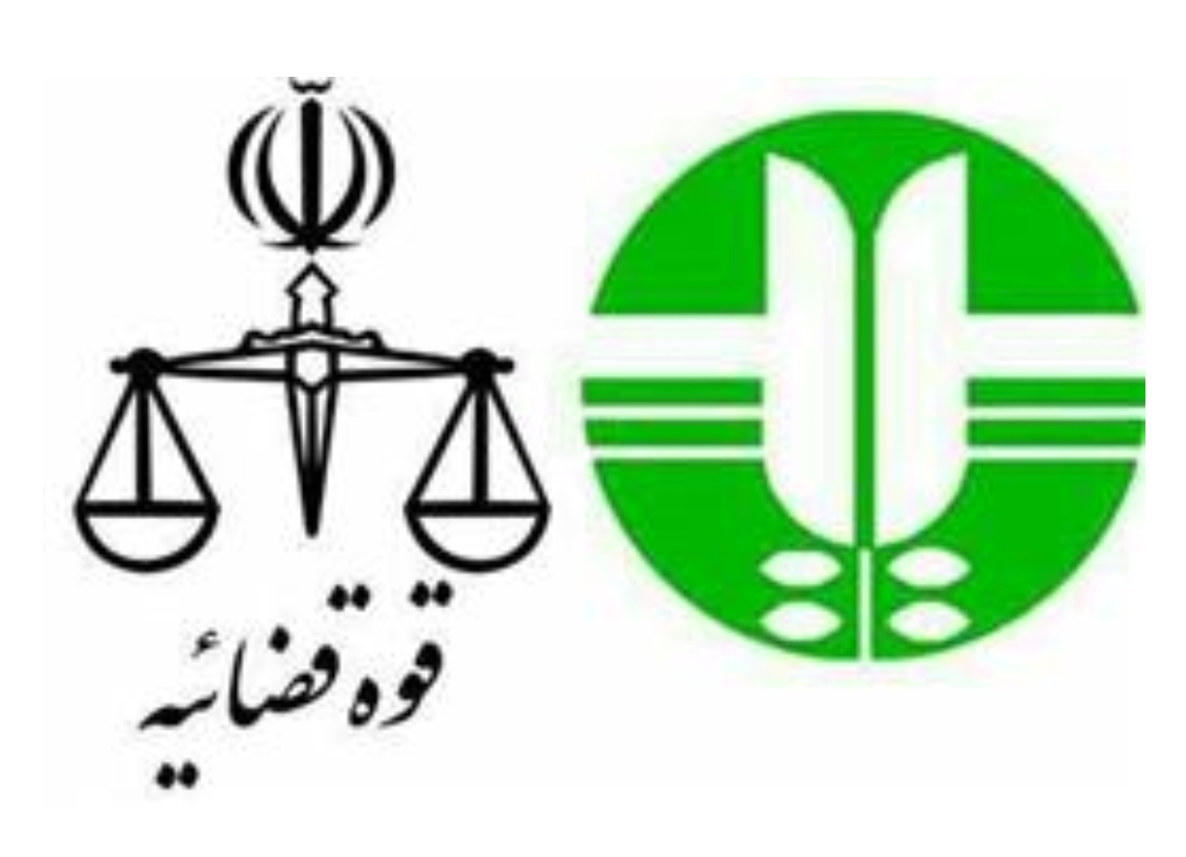 اعلام مصادیق مجرمانه محیط زیستی جدید در فضای مجازی&nbsp;