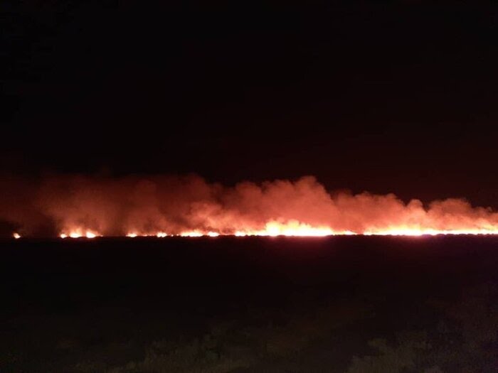 مهار آتش سوزی در پارک ملی بمو