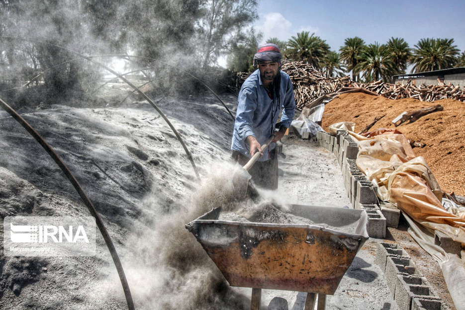 تهیه زغال تهدیدی برای محیط زیست