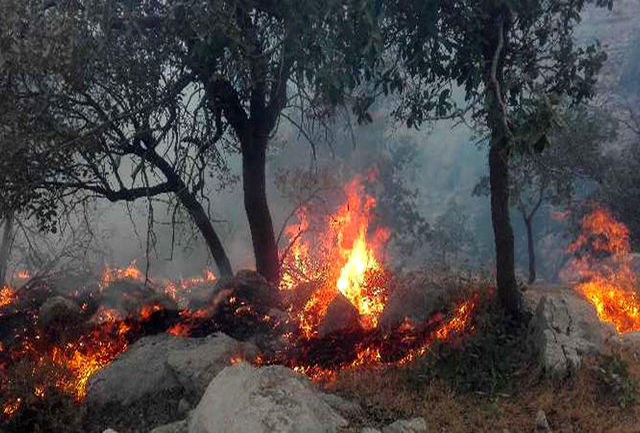 ادامه آتش سوزی در منطقه حفاظت شده «دیل» گچساران پس از ۴ روز