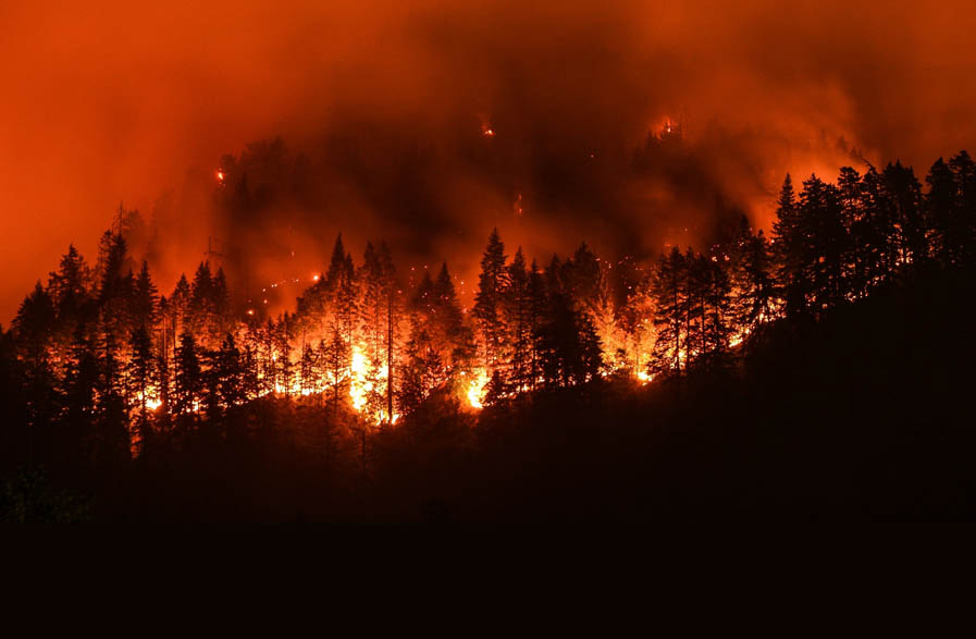 آتش سوزی جنگل‌ زاگرس