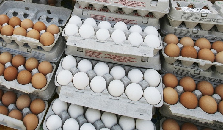 علت افزایش قیمت تخم مرغ