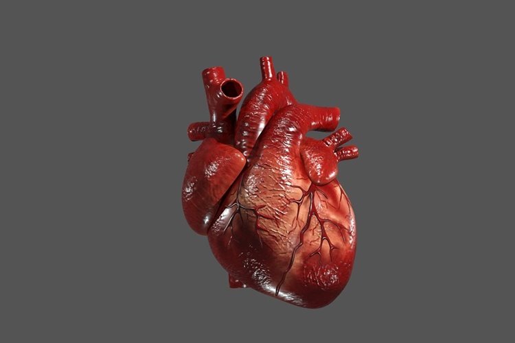 اخبار سلامت