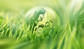 برنامه ریزی و مدیریت صحیح حفاظت ازتنوع زیستی مهمترین هدف توسعه پایدار