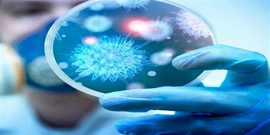 کرونای خفیف کرونای خفیف