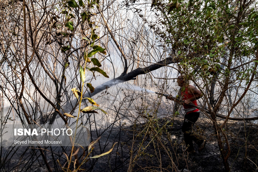 ادامه آتش سوزی در جنگل‌های کرخه