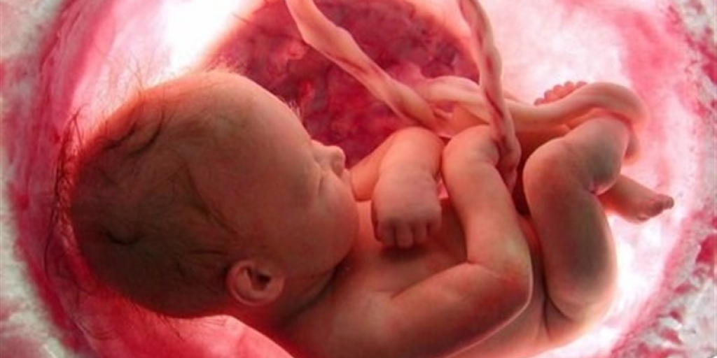 آمارهای عجیب از سقط جنین غیرقانونی در ایران آمارهای عجیب از سقط جنین غیرقانونی در ایران