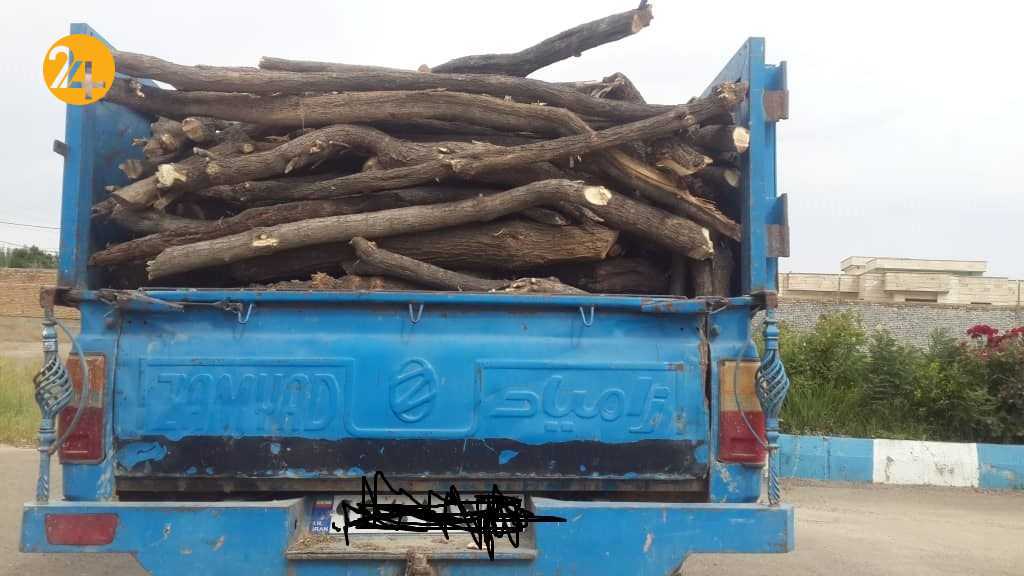 دستگیری عاملان قطع غیرمجاز درختان در تالاب قره قشلاق بناب
