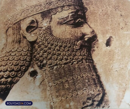 داریوش هخامنشی کیست