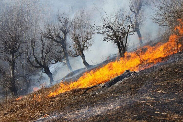 هشدار هواشناسی مازندران نسبت به بروز آتش سوزی در جنگل‌ها