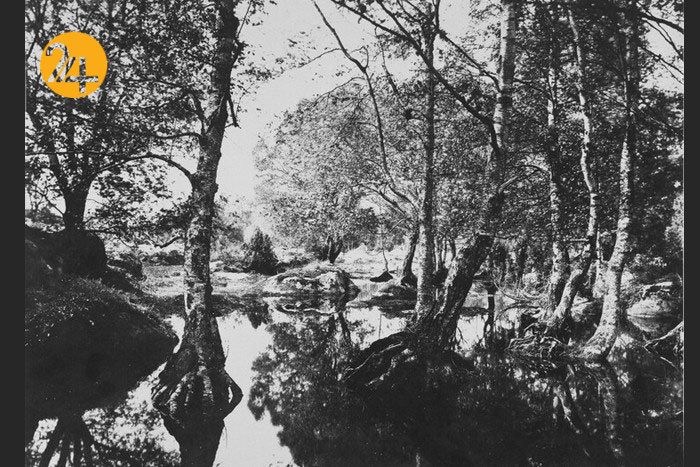 گرایش عکاسی در قرن نوزدهم