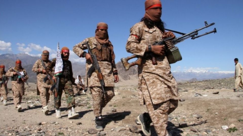 احتمال ظهور القاعده در کنار طالبان؛ آیا کابل در حال سقوط است؟