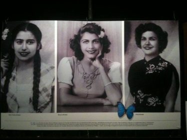 کتاب ماه تیر وینش: در زمانهی پروانهها کتاب ماه تیر وینش: در زمانهی پروانهها