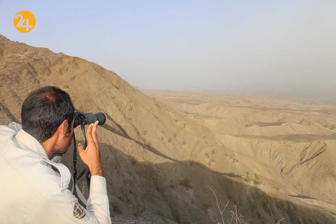 حفاظت از حیات وحش سیستان و بلوچستان باوجود خشکسالی شدید امسال