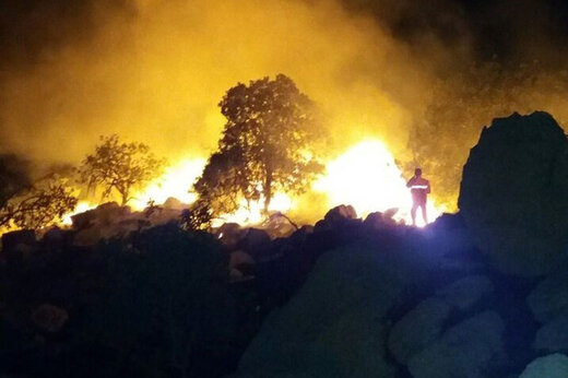 جزئیاتی از آتش سوزی مناطق حفاظت شده کهگیلویه و بویراحمد