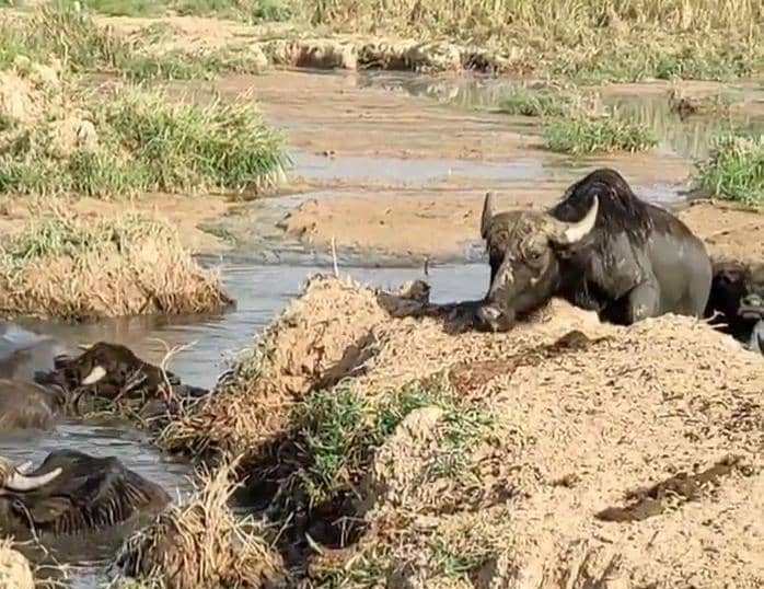 معیشت و جان مردم خوزستان در خطر است/ مرزداران را مجبور به ترک مناطق مرزی نکنید