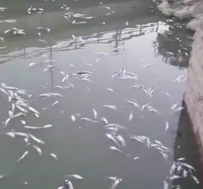 معیشت و جان مردم خوزستان در خطر است/ مرزداران را مجبور به ترک مناطق مرزی نکنید