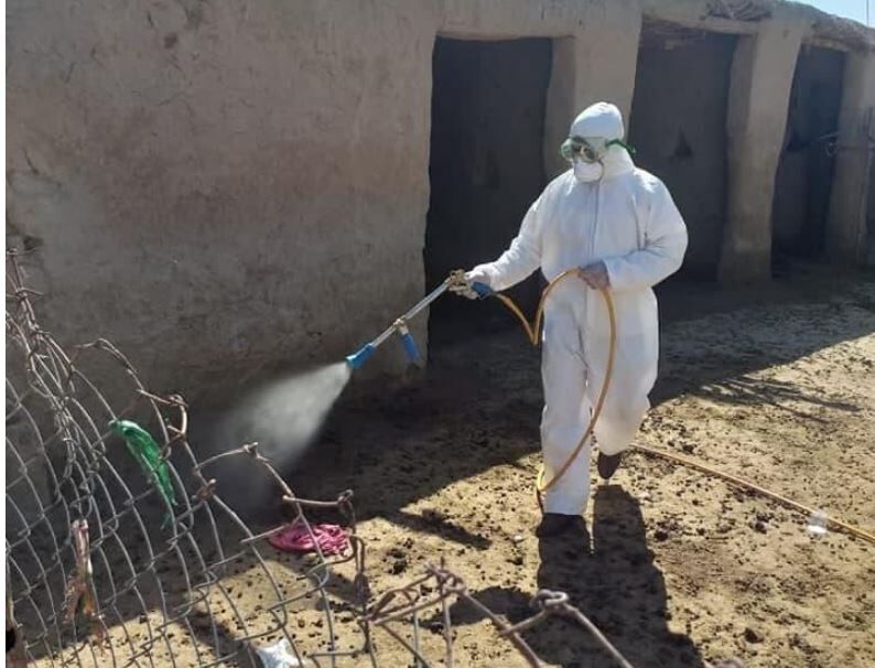 شیوع ویروس واگیردار در عراق