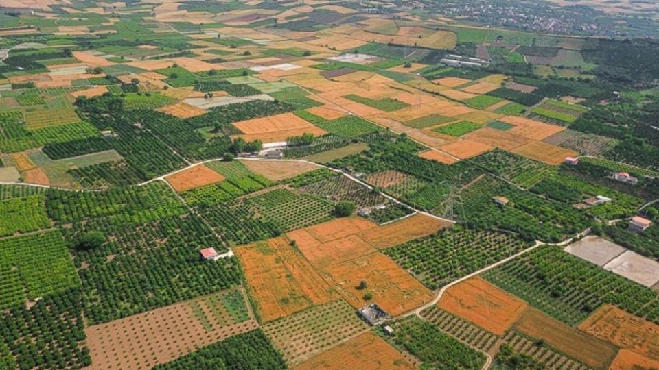 کشت و صنعت مغان